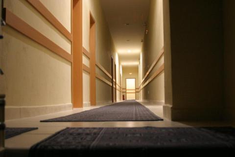 City Hostel Pozsony Kültér fotó